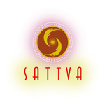 Академия Sattva